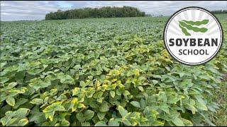 Soybean School: Can you apply too much potash?