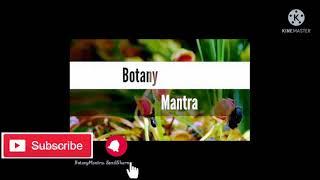 ham ek plant le Hain botany Mantra ka paudhon ke bare mein jankari