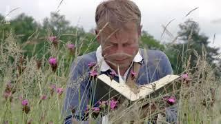 Geheimnisvolle Wildblumen: Feld- und Wiesenblumen Doku (2018)