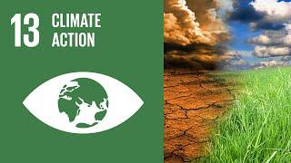 UN Sustainable Development Goals | Climate Action (13)