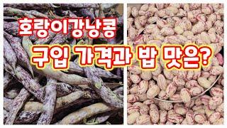 호랑이강낭콩 구입 가격과 밥 맛은? 자연특별시괴산