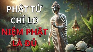 Phật Sắp Đặc Hết Chớ Phật tử Phật Tử khỏi Lo Chỉ Lo Niệm Phật Là Đủ - Trí Tuệ Phật Giáo