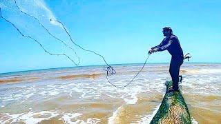 Throwing A Cast Net at The Beach for HOARDS OF SEA CREATURES!!!