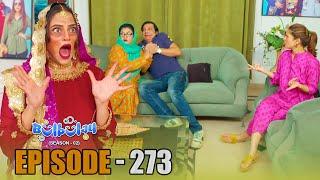 Bulbulay Season 2 Episode 273 | Comedy | Ayesha Omar & Nabeel | Momo | Mehmood Sahab