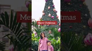 Christmas Celebration 2024 #merrychristmas #christmas2024