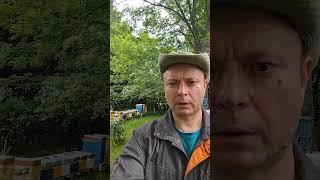 Воск и вощина стратегический запас золото пчеловода!!!