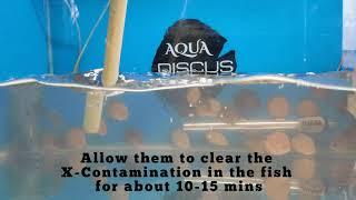 Discus Protector | Quick Quarantine | Aqua Discus India | Cross Contamination Eliminator