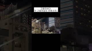 내 친구는 고질라 #워킹홀리데이 #워홀 #브이로그