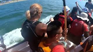 Rogue Paddling Club- 2022 San Diego International Dragon Boat Festival- 250 mixed boat crash 23