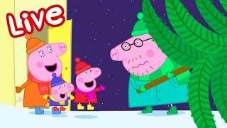  Peppa Pig LIVE HOLIDAY SPECIAL!  Peppa Pig Mini Movies  STREAMING NOW  Kids Videos 