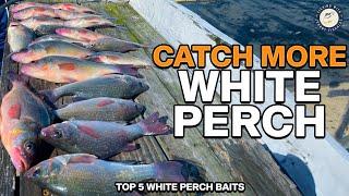 5 Of The BEST WHITE PERCH BAITS You Have To Use Right NOW!