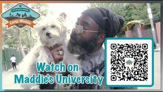 Watch Camp Maddie: Pet-Inclusive Housing on Maddie's University!