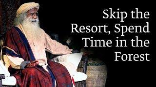 Skip the Resort, Spend Time in the Forest - Sadhguru