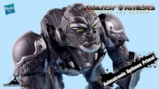 Transformers: Rise of the Beasts Command & Convert Animatronic OPTIMUS PRIMAL Video Review