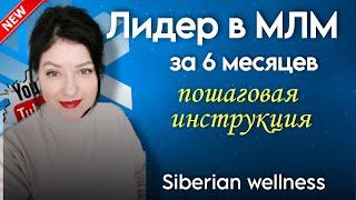 Сибирское здоровье. Как взять ранг ВТ 5000 за 6 месяцев. Быстрый рост в МЛМ.