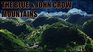 THE BLUE & JOHN CROW MOUNTAINS | JAMAICA W.I