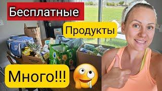 Повезло/ЛУЧШАЯ бесплатка/Много бесплатных продуктов/Экономия в многодетной семье/Жизнь в США/Флорида