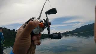 Fishing Snakehead Hampala Barb Temenggor Malaysia Day 1 (December 2024)