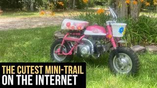 The Cutest Honda Z50 Mini Trail on the Internet