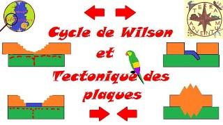 Cycle de Wilson (Rift, Dorsale, Subduction...) [Minute géologique #16]