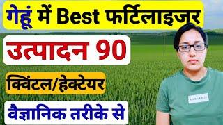 गेहूं में इन Fertilizer से 90 क्विंटल/हेक्टेयर पैदावार | Basal Fertilizer in Wheat | ssp fertilizer