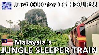 Malaysia's JUNGLE Sleeper Train / €10 for 16 Hour from Singapore to Thailand