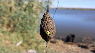 С этой кормушкой флэт половил и карпа и карася