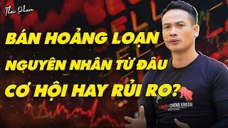 BÁN HOẢNG LOẠN, NGUYÊN NHÂN? CƠ HỘI HAY RỦI RO?