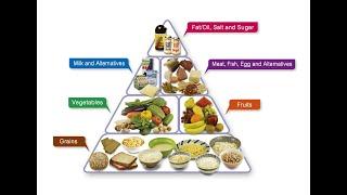 How Consumption of Food Guided by Balance, Variety and Moderation has effects on Individual health