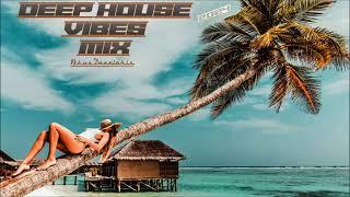 Deep House Vibes Mix 2 (2024) Nikos Danelakis #Best Vocal Deep Music