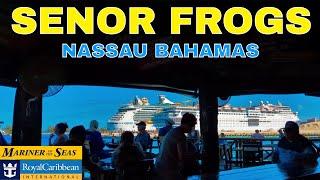 Senor Frogs Nassau Bahamas - Bahamarita #shorts