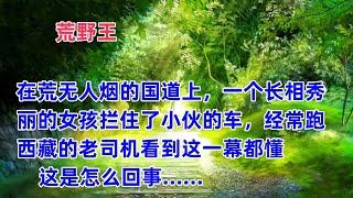 荒野44  在荒无人烟的国道上，一个长相秀丽的女孩拦住了小伙的车，经常跑西藏的老司机看到这一幕都懂 这是怎么回事……