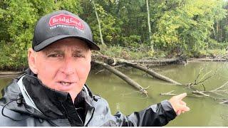 How Bass Position In Laydown Trees…(On The Water Vid)