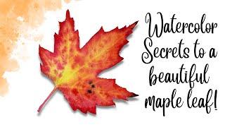 Secrets of a Watercolor  Maple Leaf Painting Revealed 