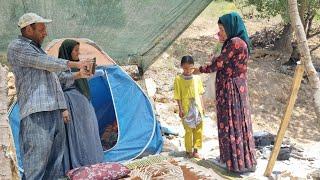 Endless Efforts: Mrs.   Zari's Search for the Mother of a Missing Child