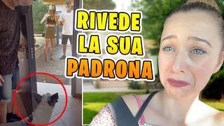 LA SORELLA DI LUCA VEDE IL SUO CANE DOPO 15 GIORNI *emozionante