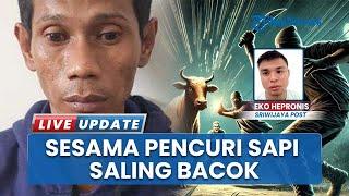 Teman Bacok Teman, Selamet Saksi Kasus Pembacokan di Lubuklinggau Ditangkap atas Pencurian Sapi