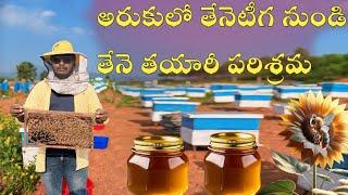 Aruku Pure Honey -organic farm in Aruku valley |Honey bee Farms at Aruku 2024