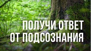 МЕДИТАЦИЯ ВОЛШЕБНЫЙ ЛЕС: ПОЛУЧИТЕ ОТВЕТ НА ЛЮБОЙ ВОПРОС ОТ ПОДСОЗНАНИЯ