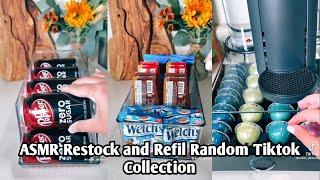 ASMR Restok and refil fridge Tiktoo collection with Kellie Atkinson