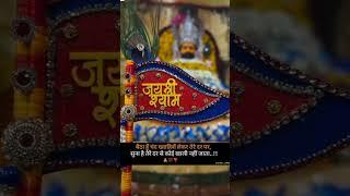 Baba Shyam  #jaikhatushyam #shortfeed #shorts #music #song