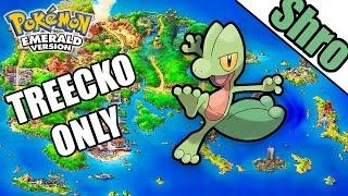 Can You Beat Pokemon Emerald With Only a Treecko? -  Pokemon Challenge!