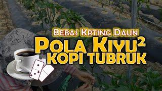 POLA QQ KOPI TUBRUK