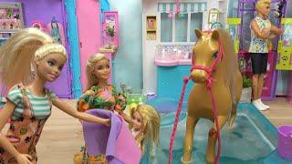 Barbie and Ken Vet Emergency Story with Barbie’s Pony and Barbie Sister Chelsea Get New Puppy