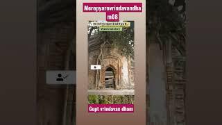 Gupt Vrindavan Dham #meropyarovrindavandham08 #vrindavan #barsana #gokul #krishan #mathrubhuminews