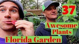 30+ Amazing Plants for your Florida Garden!