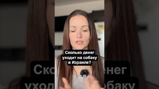 Сколько стоит содержание собаки в Израиле? #израиль