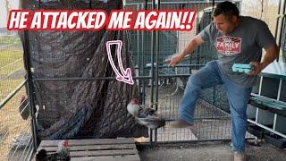 How Do I Stop This Attack!! I Made A Big Mistake!! ￼