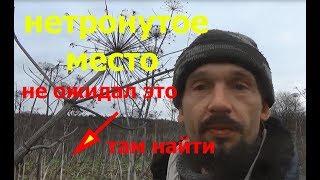 нетронутое место!!! не ожидал это там найти!!!поиск с металлоискателем