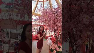 CNY | Reunion | Celebration | New Year Greeting | Precious Season | Malaysia | 芷倩Zhi Qian | 2023